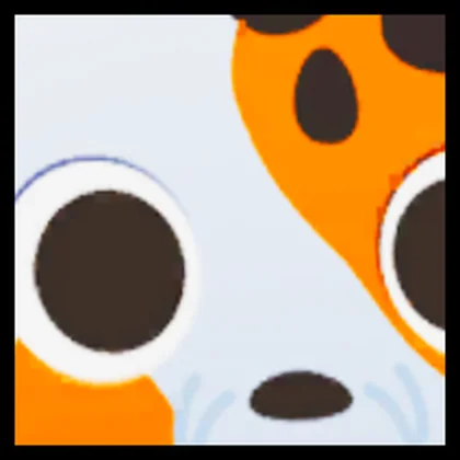 Titanic Koi Fish
